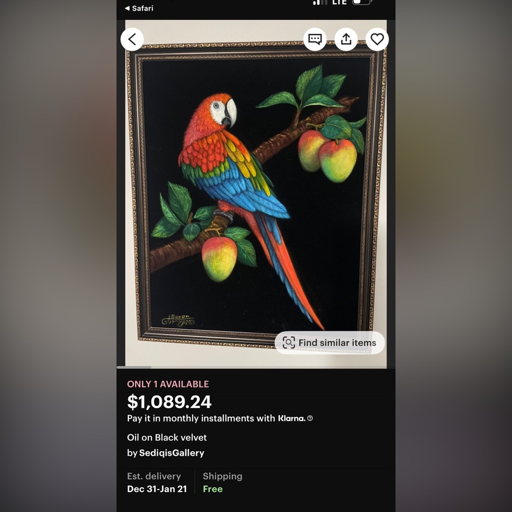 2 oil paintings on velvet, sponge real wood frame. In great condition. Not bird. - Picture 2 of 10